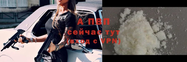apvp Бородино