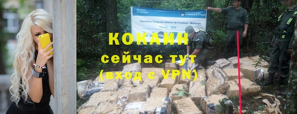 apvp Бородино