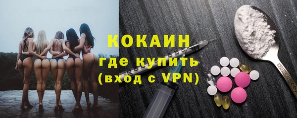 apvp Бородино