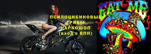 apvp Бородино